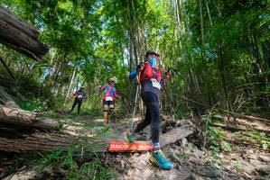 BIB: 
                            <button type="button" onclick="openModal(19390984)" class="btn btn-primary btn-sm float-right btn-popup" data-toggle="modal" data-target=".modal-high-quality">
                        <i class="fas fa-shopping-cart"></i> Add to Cart
                    </button>
                                            <button type="button" onclick="isThisMe(19390984, true)" class="btn btn-success btn-sm float-right btn-popup btn-isme hidden" data-toggle="tooltip" data-placement="bottom" title="นี่คือรูปของคุณใช่ไหม คลิกที่นี่เพื่อเอาเข้าอัลบั้ม">
                        <i class="fas fa-plus"></i> Add to album
                    </button>
                    <button type="button" onclick="isThisMe(19390984, false)" class="btn btn-warning btn-sm float-right btn-popup btn-isnotme hidden">
                        <i class="fas fa-ban"></i> Remove from album
                    </button>